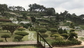 경기도 장흥수목장 by 하늘