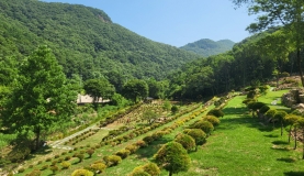 연천수목장 by 하늘