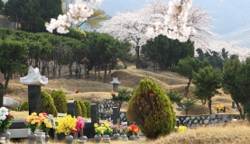 광주공원묘지 by 하늘