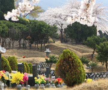 광주공원묘지 by 하늘